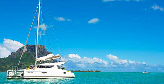 Exclusive Half Day Catamaran Cruise - Dolphins + Snorkelling